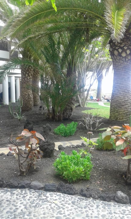 Garten Melia La Palma Hotel