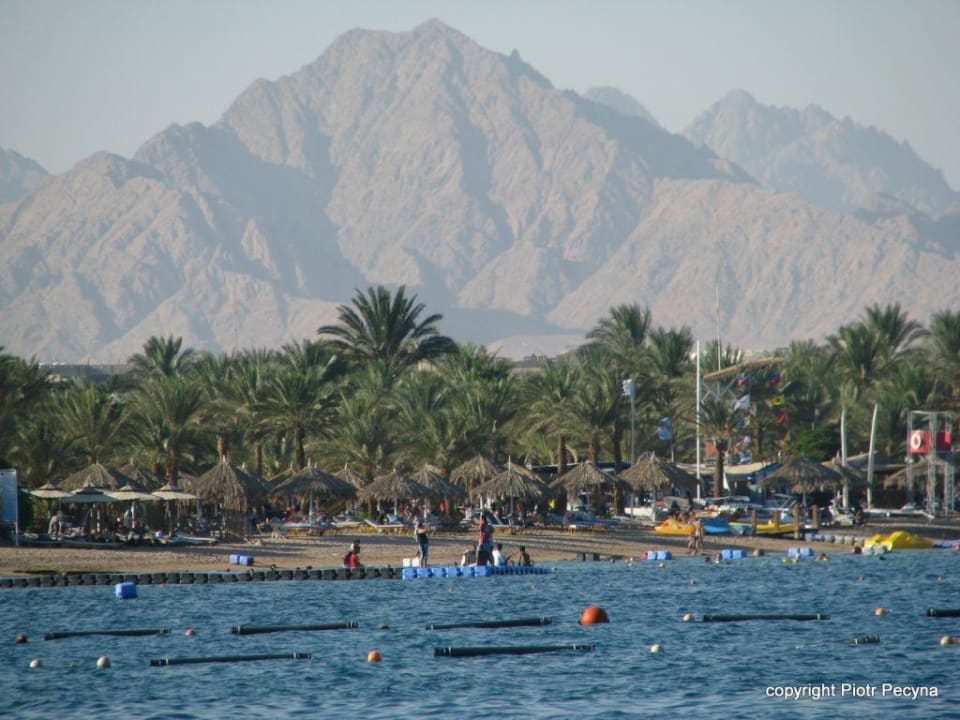 Zatoczka naama bay- w górach i nad morzem  Hotel Falcon Hills