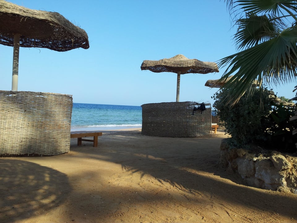 Пляж большой, лежаков хватает Pickalbatros Citadel Resort