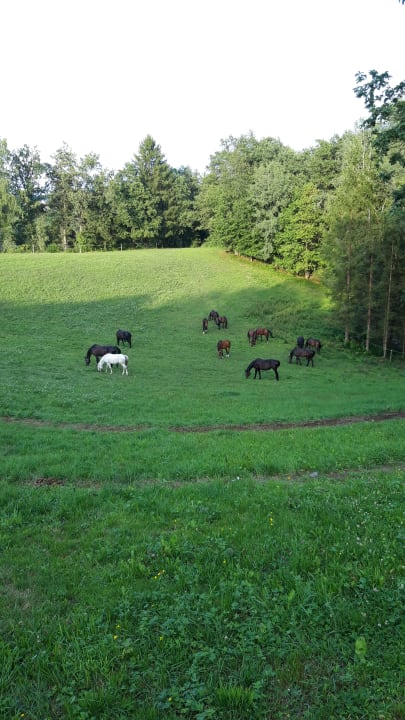 Gartenanlage Hotel Gut Feuerschwendt