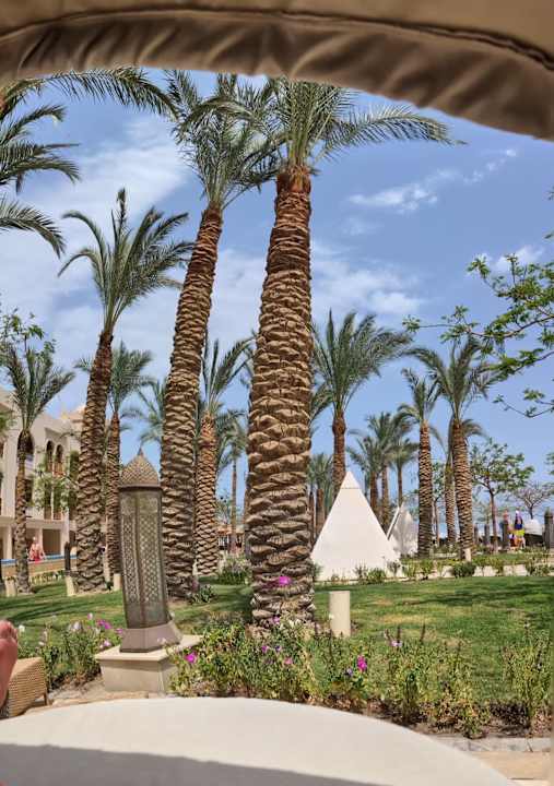 Gartenanlage The Grand Palace - Adults only