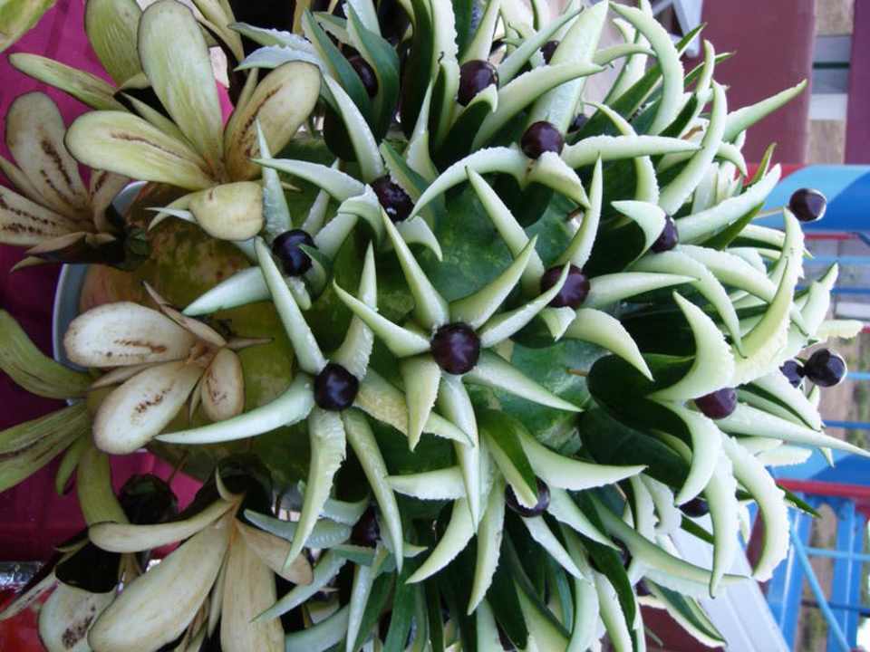 Sun Flipper Hotel Club Life Kizilot