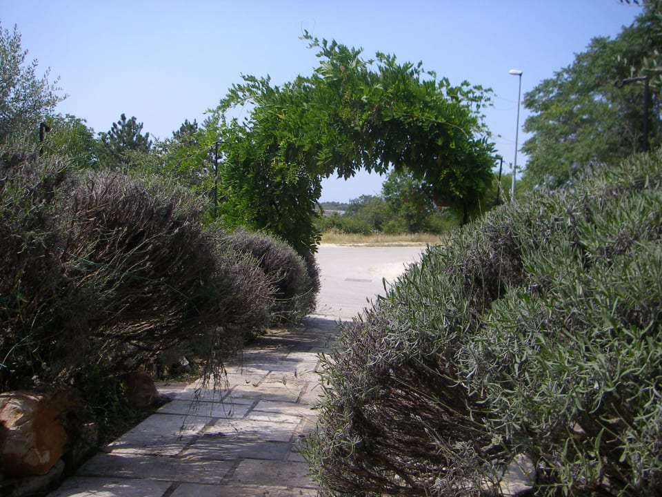 Eingangsbereich Casa Romantica La Parenzana