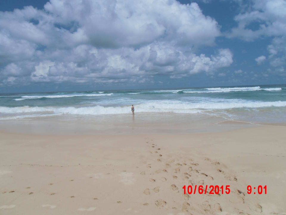 Vor dem Hotel Hotel Haus am Meer Wilde Ananas