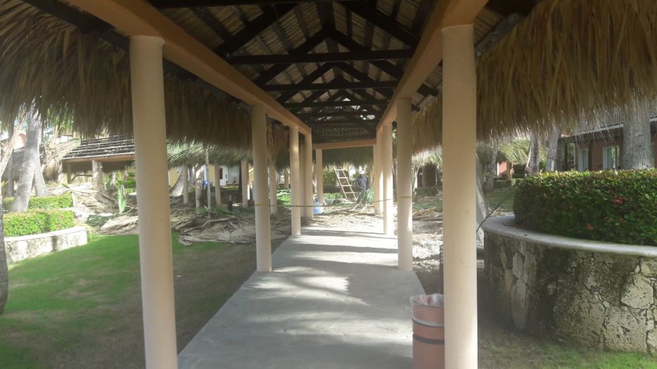 Gartenanlage Hotel Grand Palladium Palace Resort, Spa & Casino