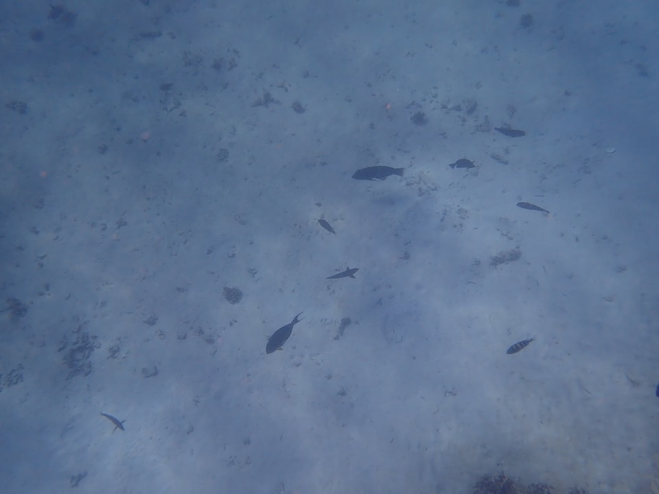 Strand Mövenpick Resort El Quseir