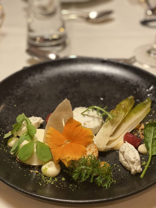 Gastro Hotel Schwarzer Adler