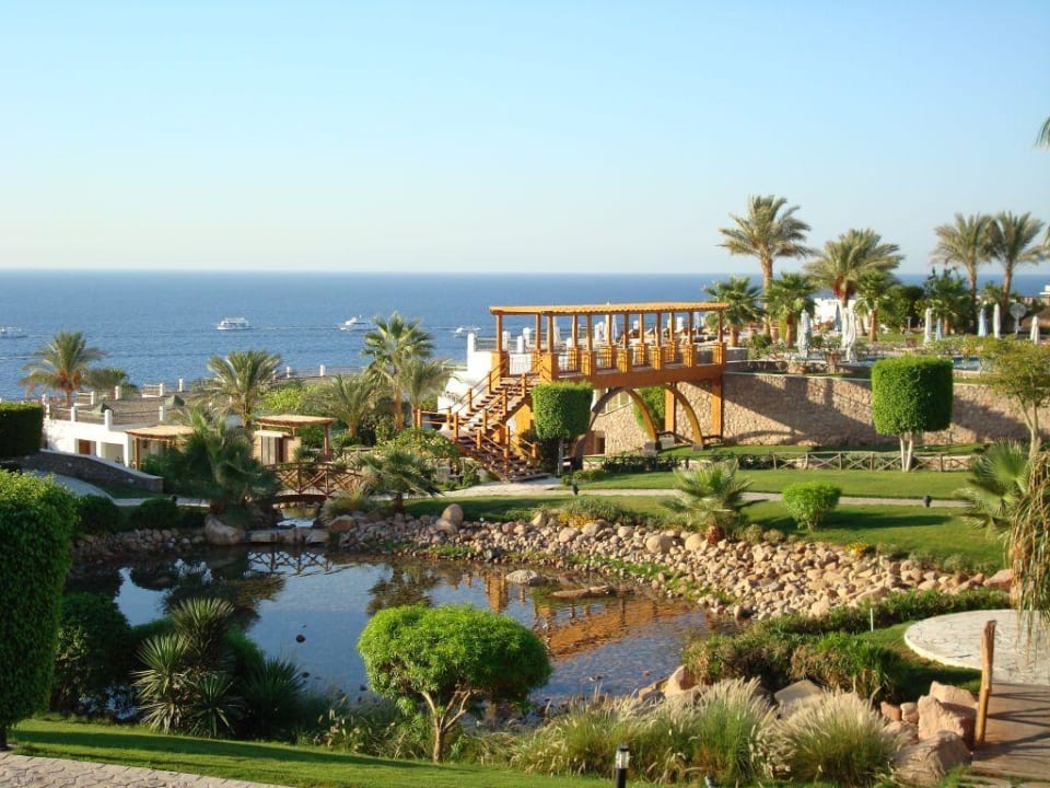 Widok z pokoju Safir Sharm Waterfalls Resort