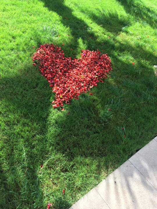 Gärtner mit Phantasie Belek Beach Resort Hotel