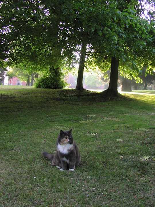 Latimer place Hotel Devere Venues Latimer Place