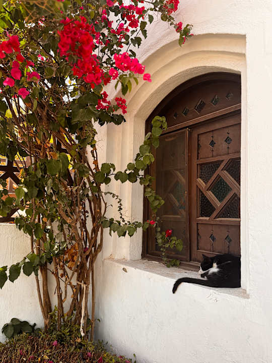 Außenansicht Arabella Azur Resort