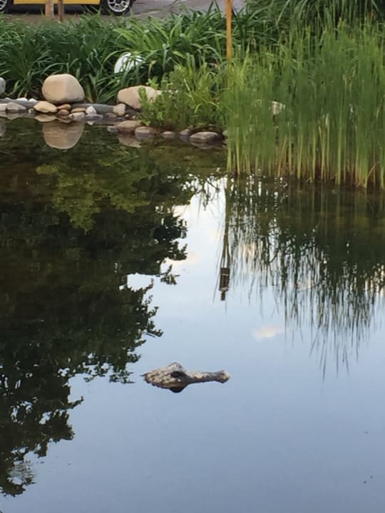 Außenansicht Vitalhotel Sonneck