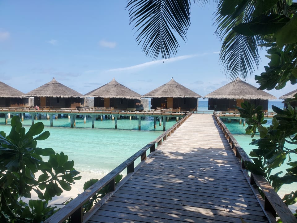 Gartenanlage Kuramathi Maldives