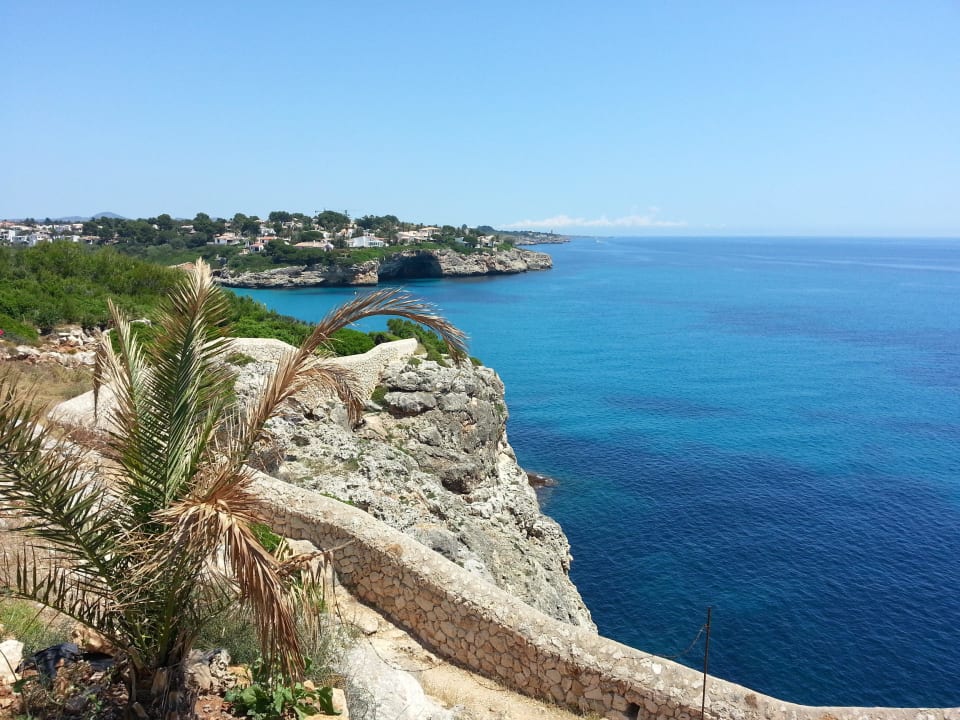 Ausblick vom Hotel blau punta reina