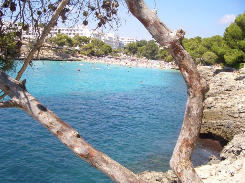 Bucht und Hotel Grupotel Rocador