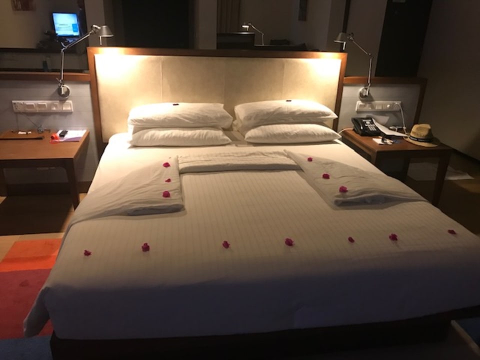 Zimmer ROBINSON NOONU