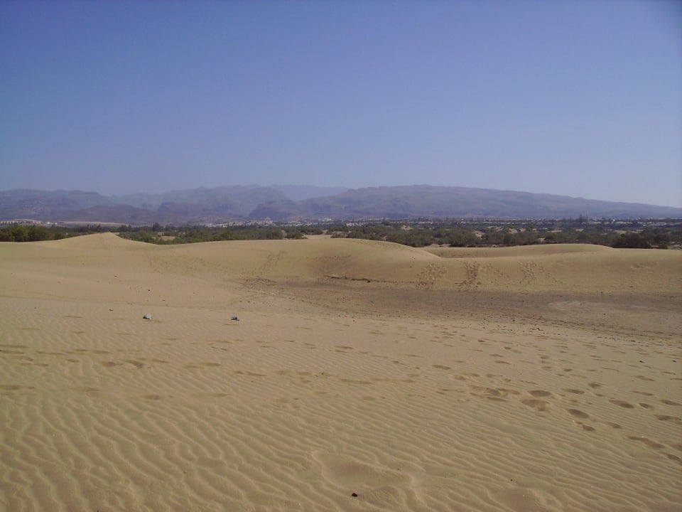 Vom Hotel zum Sandstrand, ca. 10 Min. Fußweg Hotel Riu Palace Oasis