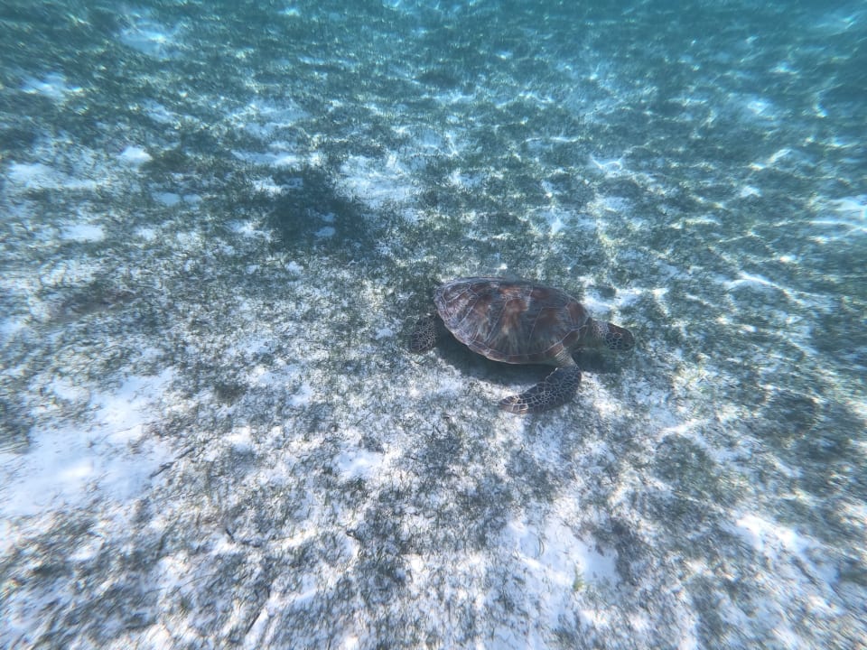 Strand Kuredu Island Resort & Spa