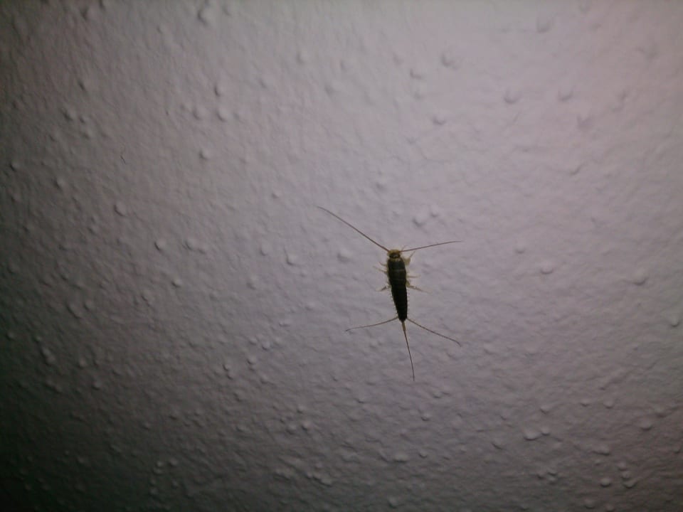 Besucher im Zimmer Andante Hotel Erding