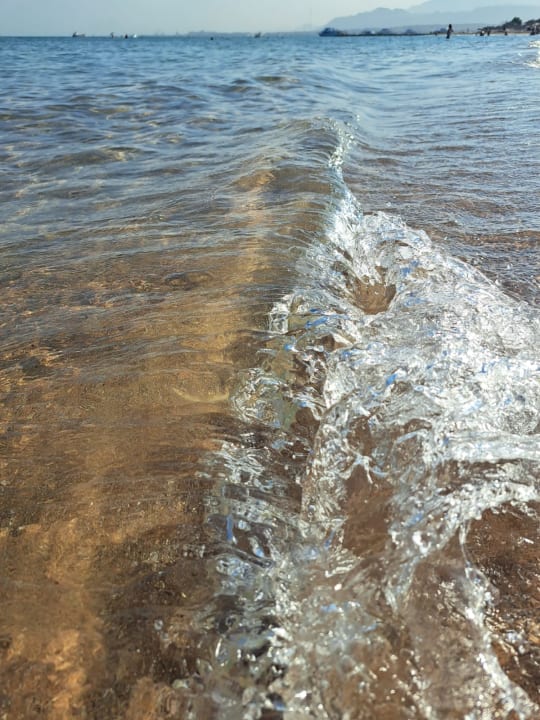 Strand Shams Prestige Abu Soma-Adults Only