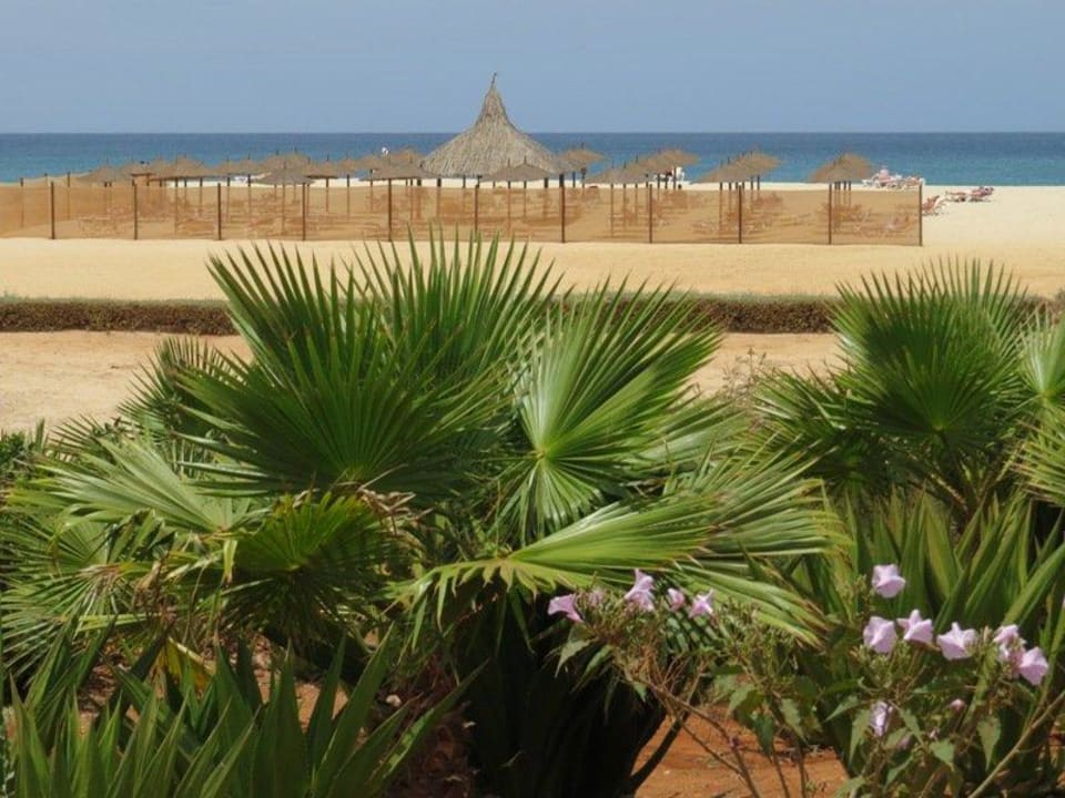 Windgeschuetzter Strandbereich  Hotel Riu Touareg