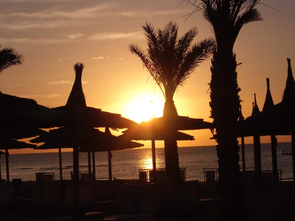 Sonnenaufgang Pickalbatros Palace Resort