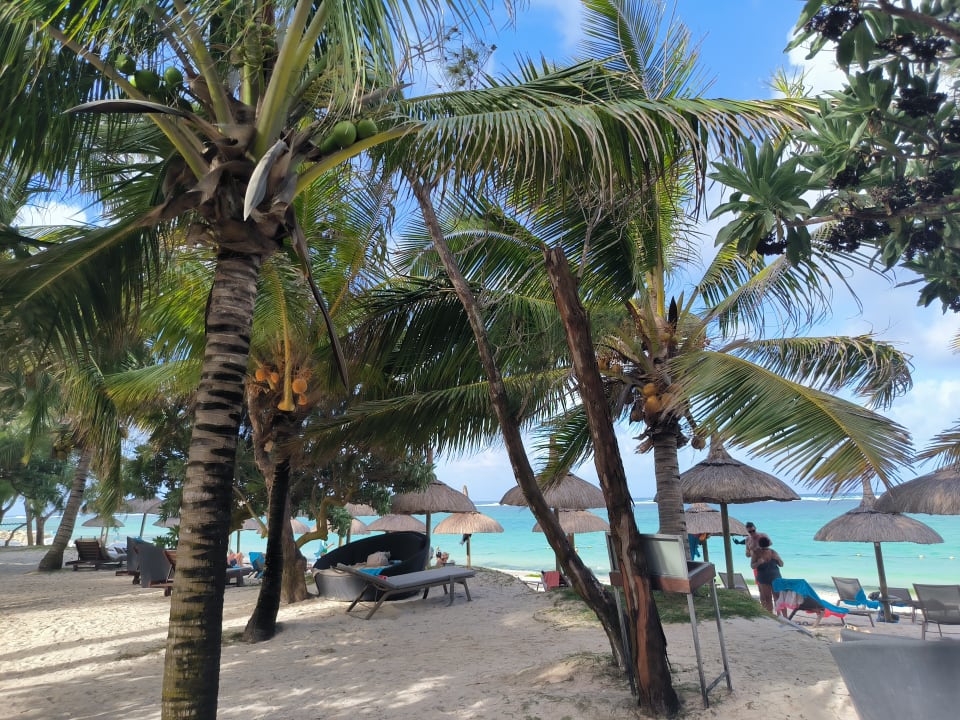 Strand Crystals Beach Resort Belle Mare, a member of Radisson Individuals