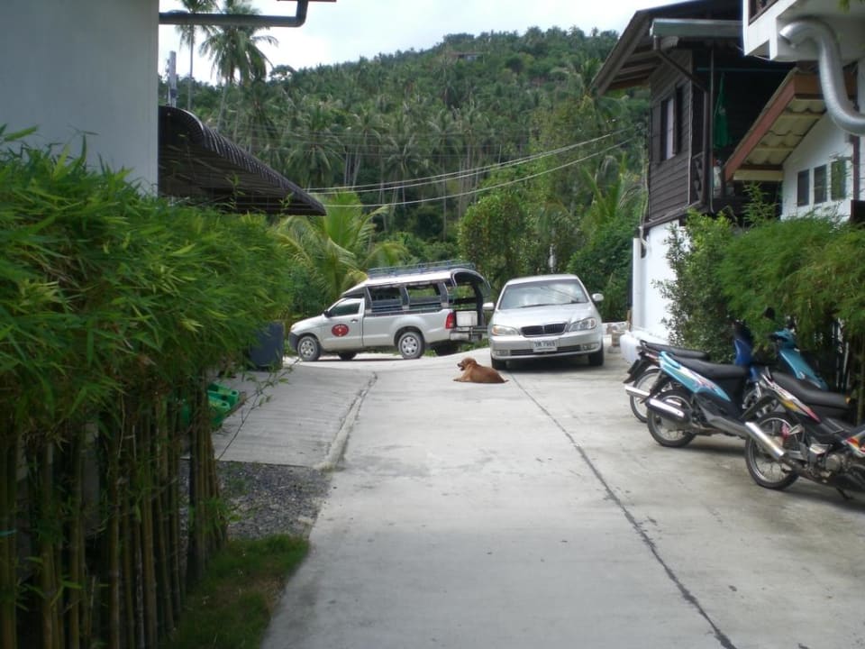 Aussenbereich Hotel Salad Hut