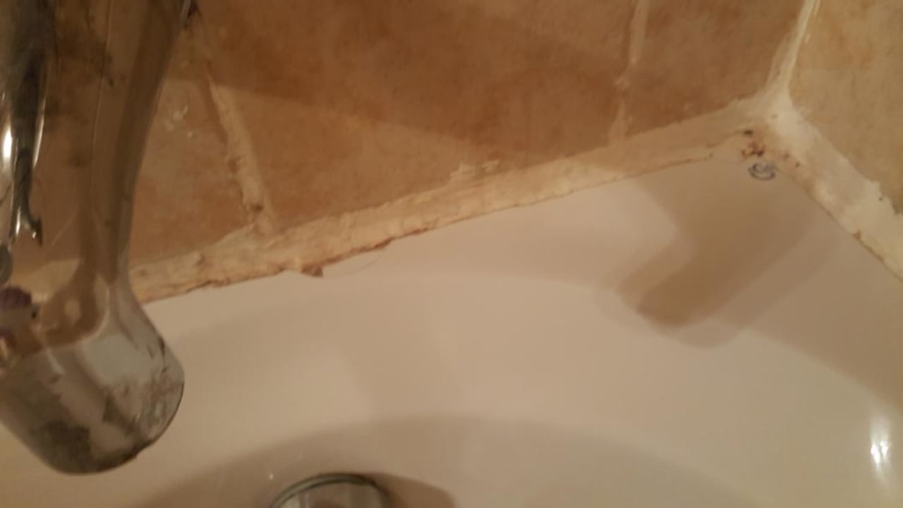 Zimmer Ghazala Gardens