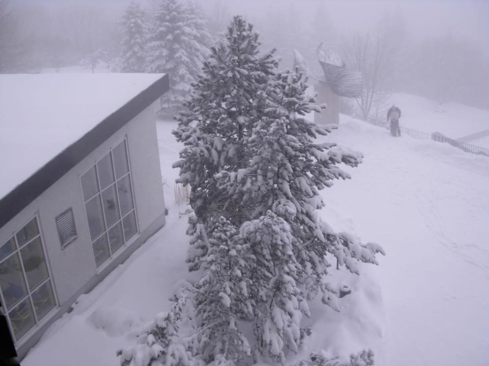 Schneebedeckter Tannenbaum im Außengelände Ringberg Hotel