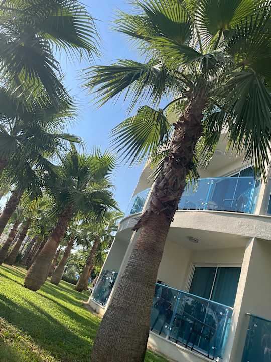 Außenansicht Sultan of Dreams Hotel & Spa