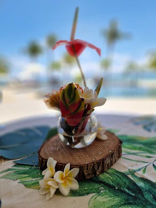 Gastro Hotel Villas Caroline