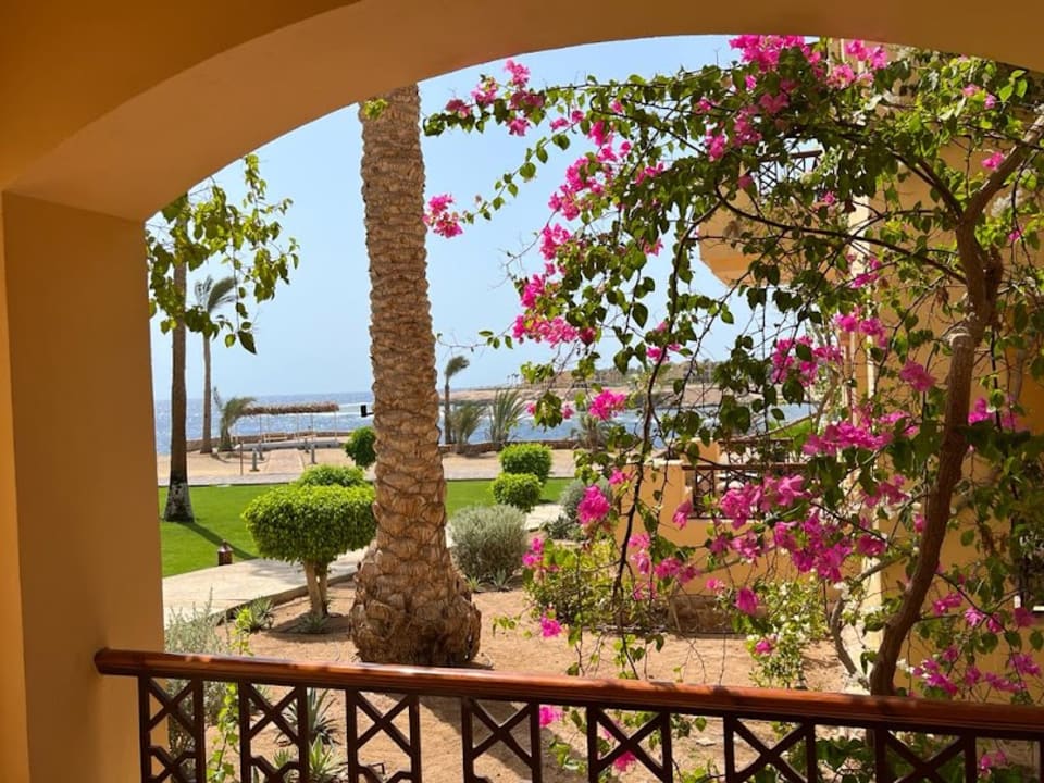 Ausblick Steigenberger Coraya Beach - Adults only