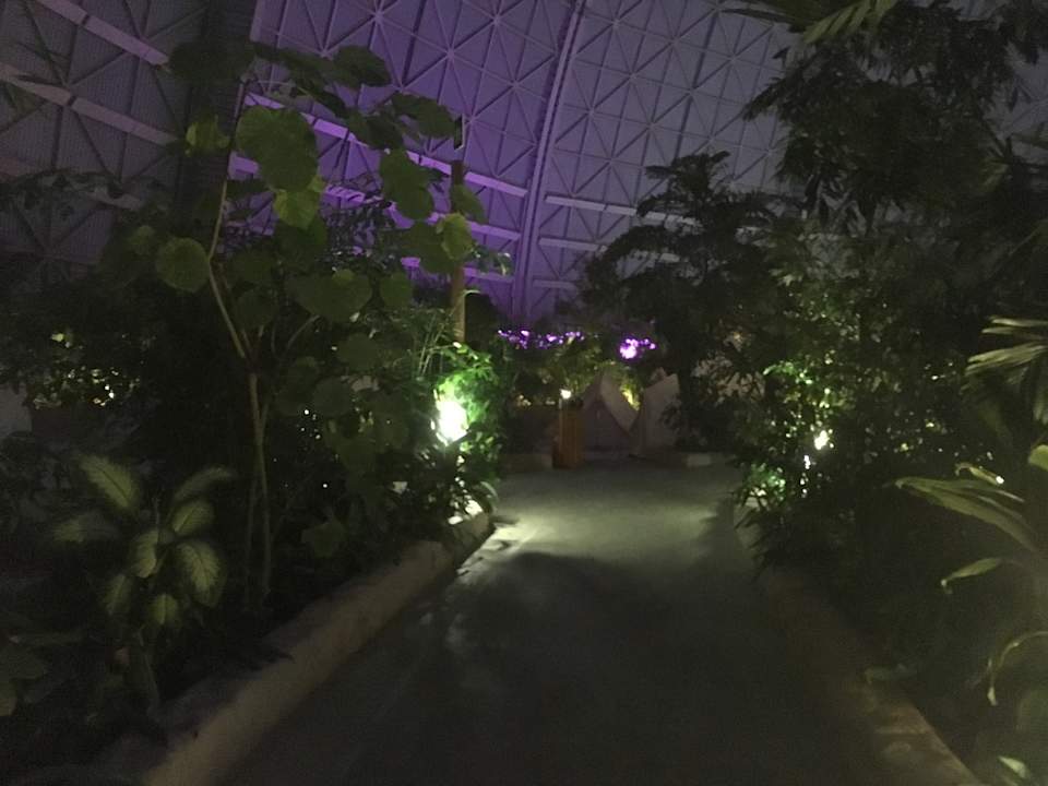 Gartenanlage Tropical Islands Resort