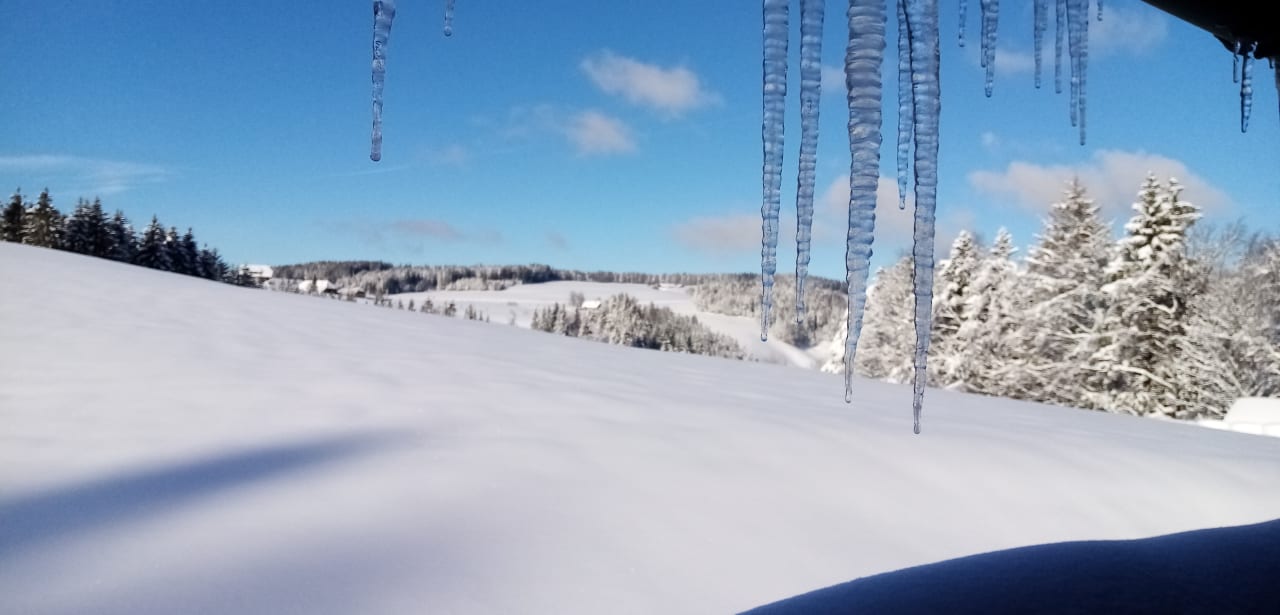 Außenansicht Bauernhof Schreinerhäusle