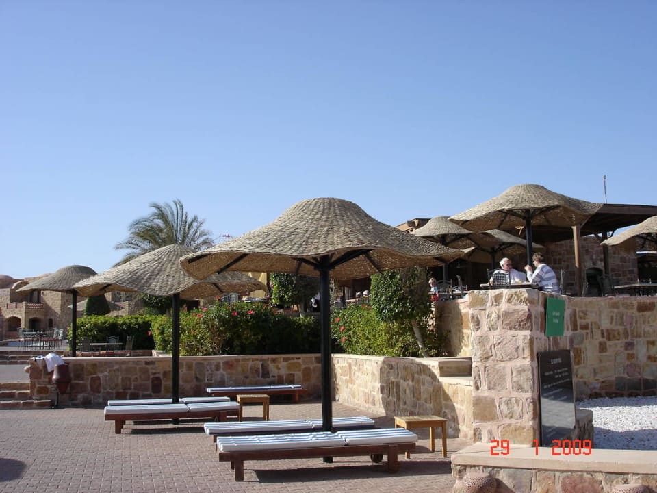 Poolbereich mit Liegen Mövenpick Resort El Quseir