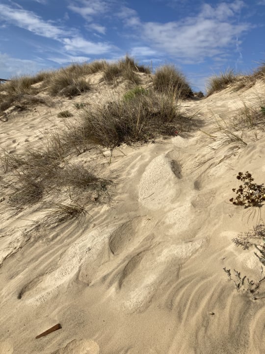 Strand Valentin Sancti Petri