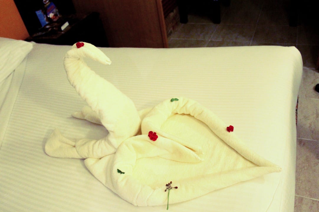 Überraschung Beach Albatros Resort