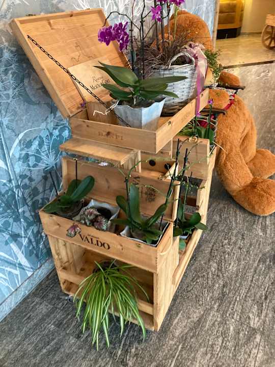 Lobby Best Western Plus Hotel Erb