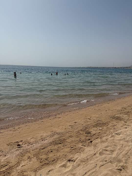Pool Eagles Paradise Abu Soma