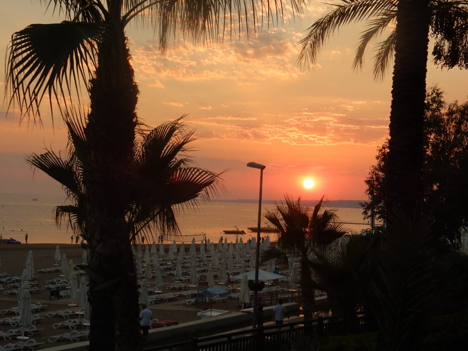 Strand PALOMA Perissia