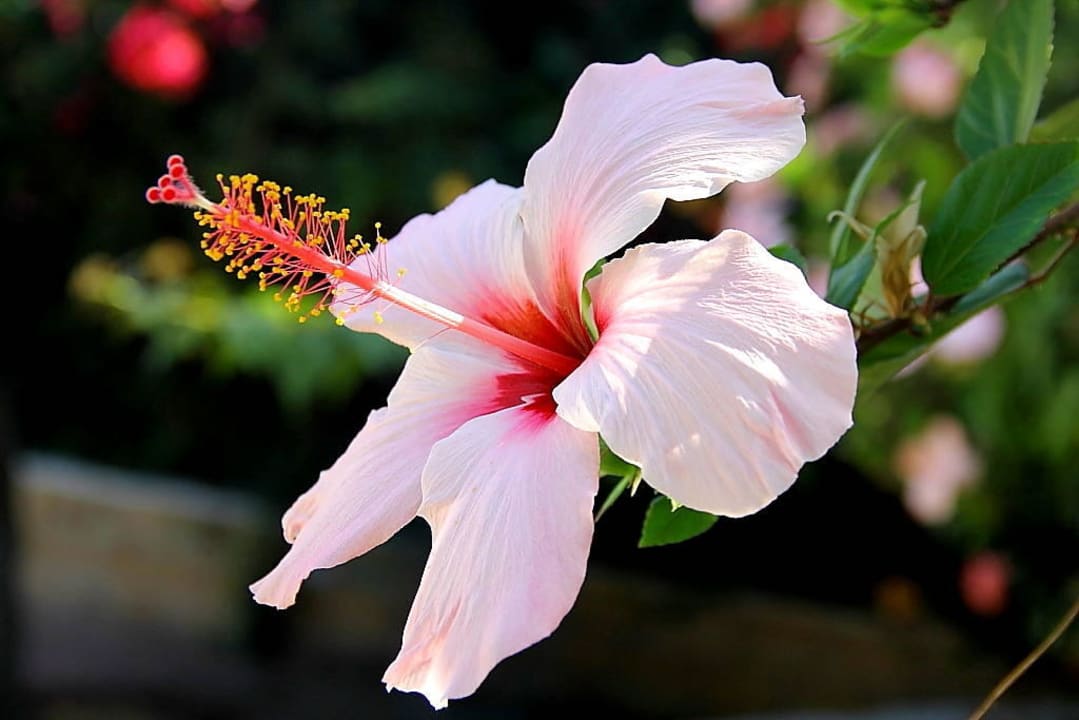 4 Grand Hotel Esperia