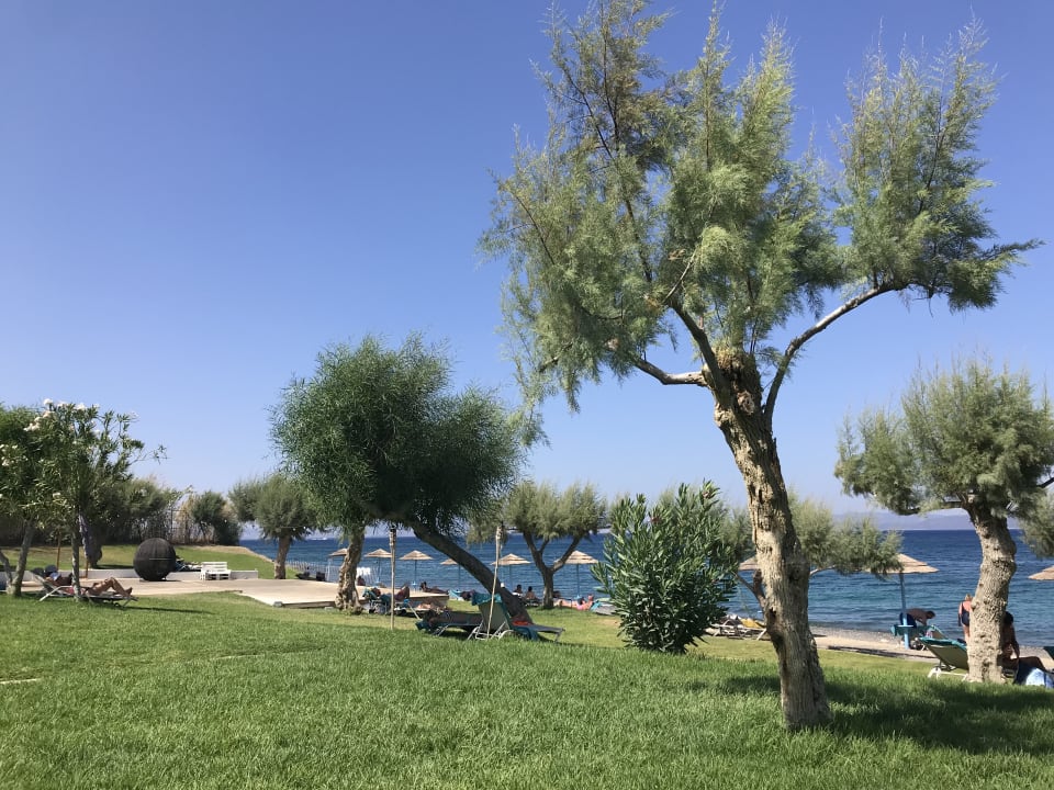 Strand TUI BLUE Oceanis Beach and Spa Resort