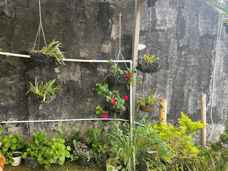 Gartenanlage Hospedaje Vista Hermosa Salento