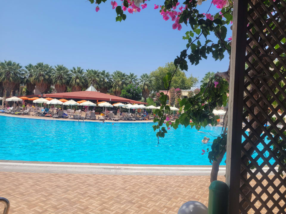 "Pool" VONRESORT Golden Beach (Colakli) • HolidayCheck (Türkische