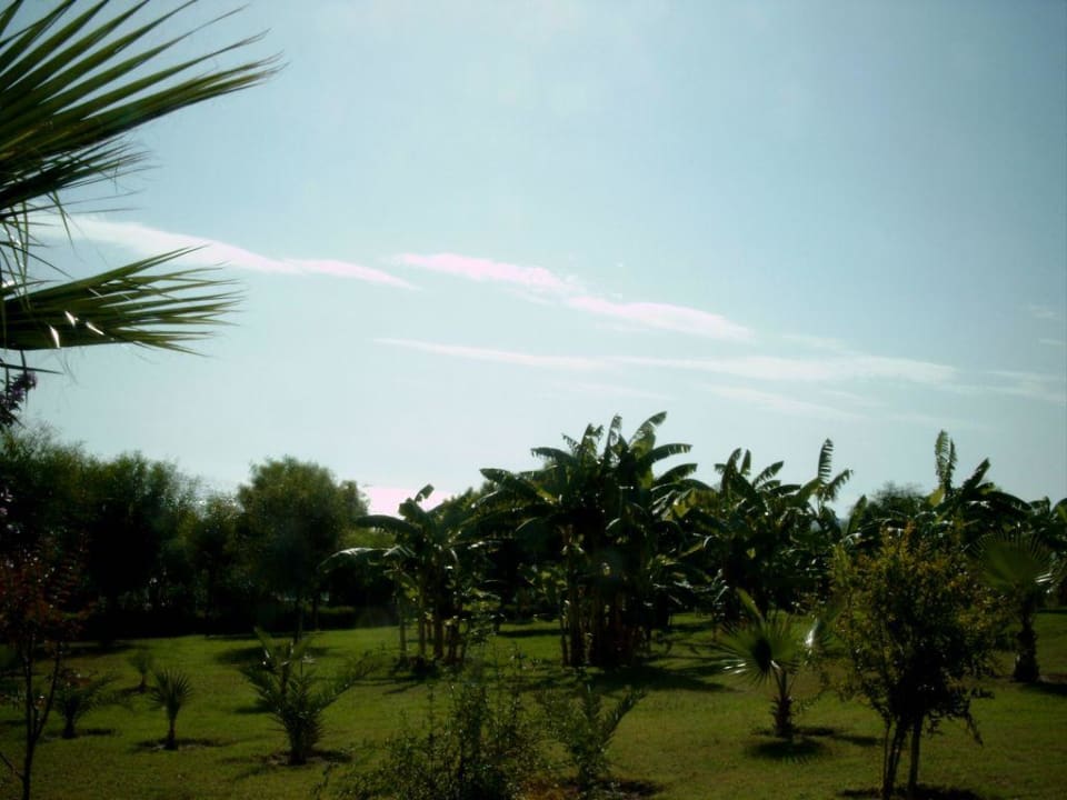 Hotelpark Alba Resort Hotel