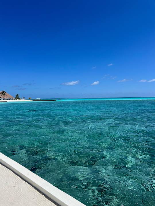 Strand Cinnamon Velifushi Maldives