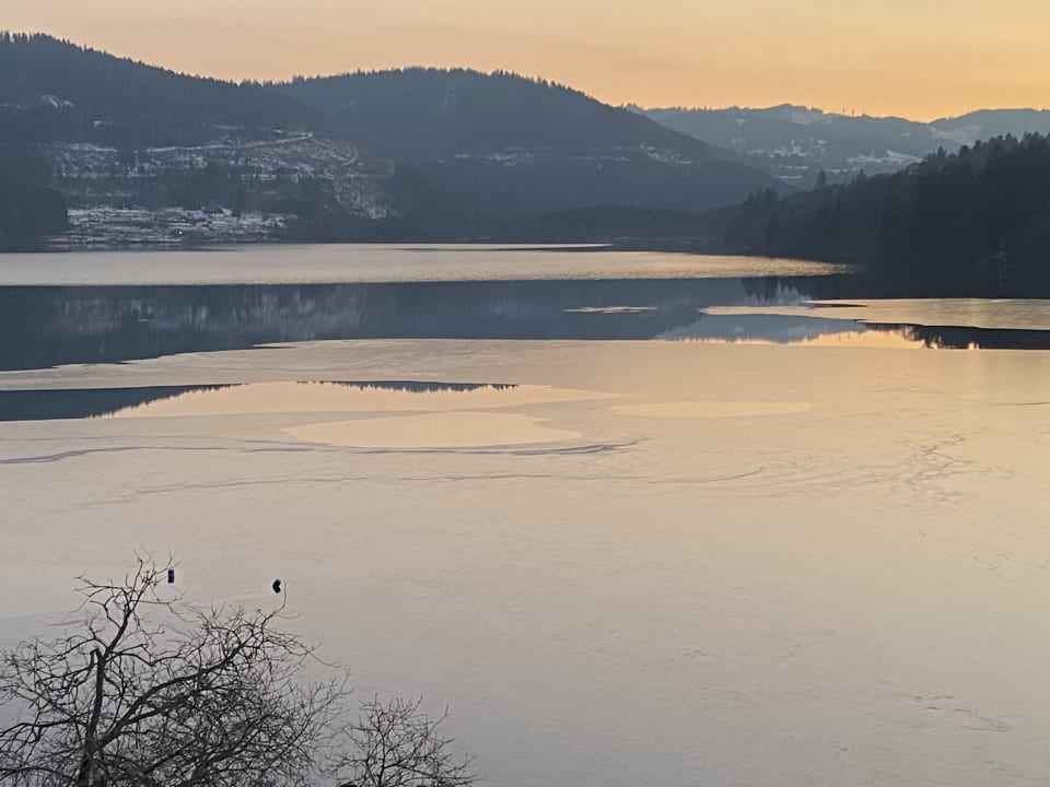 Ausblick Treschers Schwarzwald Hotel