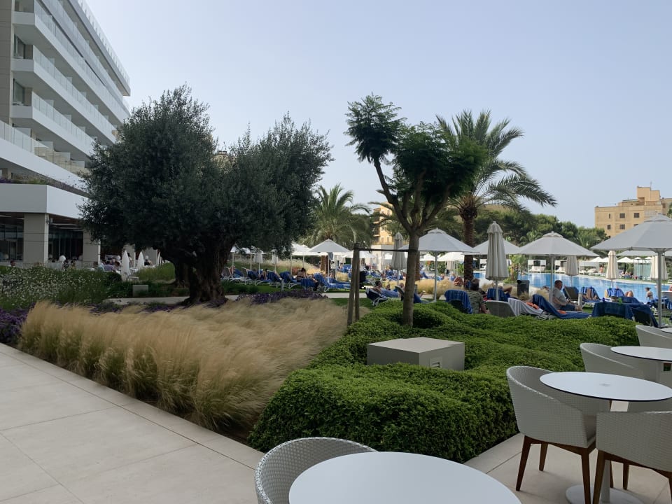 Pool Hipotels Playa De Palma Palace