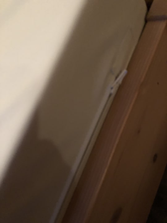 Zimmer BEECH Resort Fleesensee